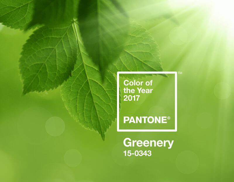 Pantone Farbe des Jahres 2017: Greenery