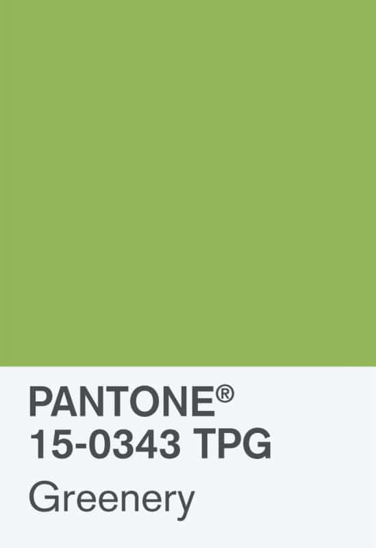 Pantone Farbe des Jahres 2017: Greenery