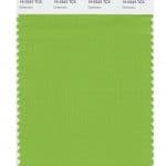 Pantone Farbe des Jahres 2017: Greenery
