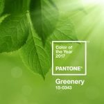 Pantone Farbe des Jahres 2017: Greenery